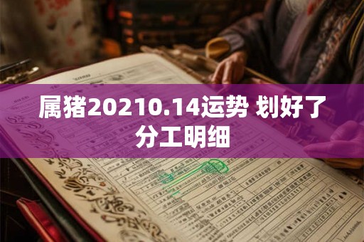 属猪20210.14运势 划好了分工明细
