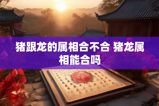 猪跟龙的属相合不合 猪龙属相能合吗
