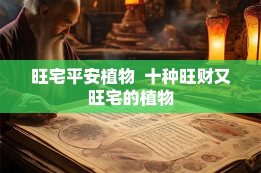 旺宅平安植物  十种旺财又旺宅的植物