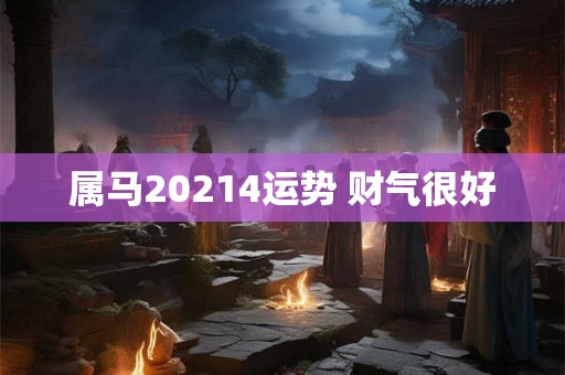 属马20214运势 财气很好