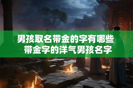男孩取名带金的字有哪些  带金字的洋气男孩名字