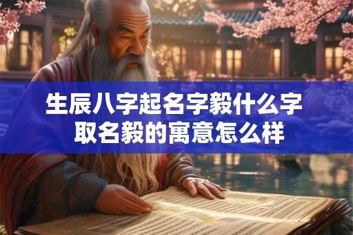 生辰八字起名字毅什么字  取名毅的寓意怎么样