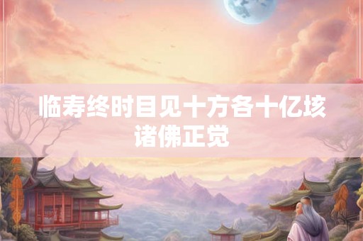 临寿终时目见十方各十亿垓诸佛正觉