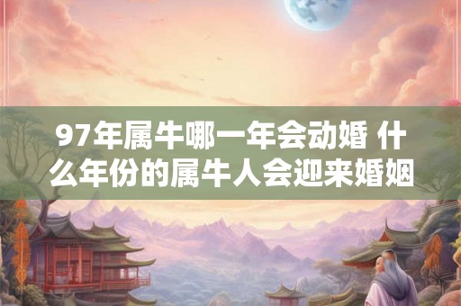 97年属牛哪一年会动婚 什么年份的属牛人会迎来婚姻的变动