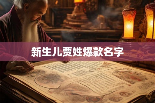 新生儿贾姓爆款名字