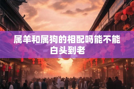 属羊和属狗的相配吗能不能白头到老
