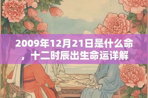 2009年12月21日是什么命，十二时辰出生命运详解