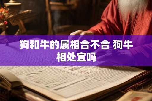狗和牛的属相合不合 狗牛相处宜吗