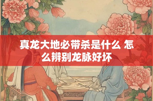 真龙大地必带杀是什么 怎么辨别龙脉好坏