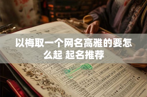 以梅取一个网名高雅的要怎么起 起名推荐