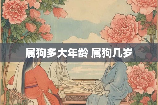 属狗多大年龄 属狗几岁 属狗多大年龄 属狗几岁