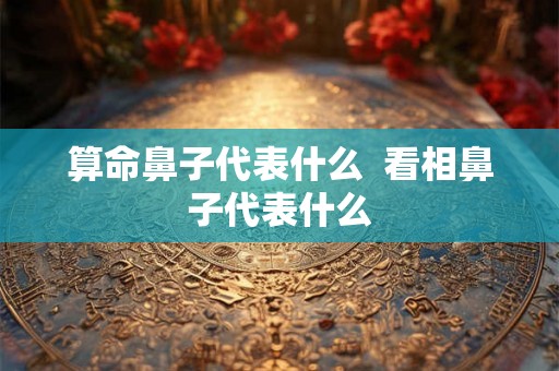 算命鼻子代表什么  看相鼻子代表什么