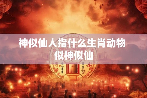 神似仙人指什么生肖动物 似神似仙