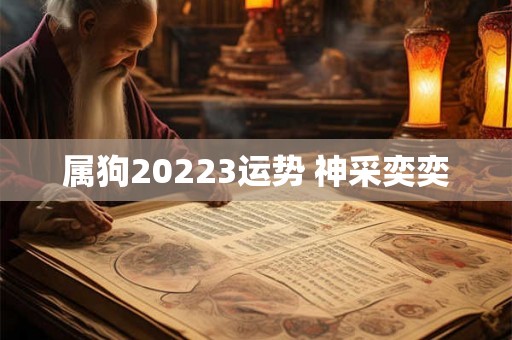 属狗20223运势 神采奕奕