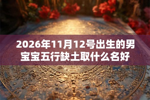 2026年11月12号出生的男宝宝五行缺土取什么名好 2026年11月12号出生的男宝宝五行缺土取什么名好