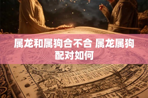 属龙和属狗合不合 属龙属狗配对如何