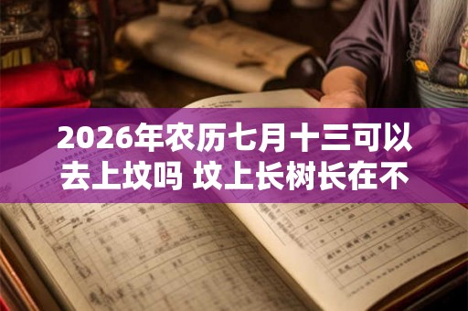 2026年农历七月十三可以去上坟吗 坟上长树长在不同地方寓意不同 2026年农历七月十三可以去上坟吗 坟上长树长在不同地方寓意不同