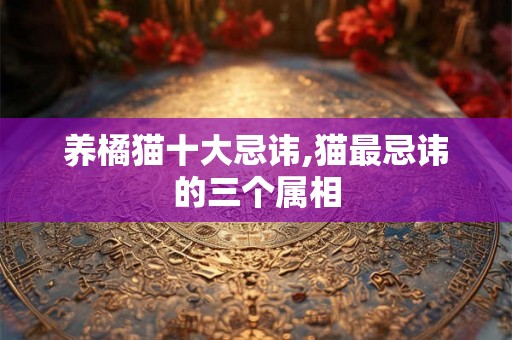 养橘猫十大忌讳,猫最忌讳的三个属相 养橘猫十大忌讳,猫最忌讳的三个属相