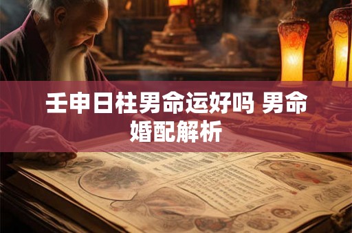 壬申日柱男命运好吗 男命婚配解析 壬申日柱男命运好吗 男命婚配解析