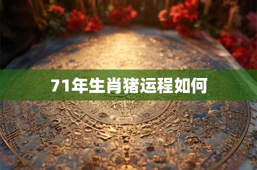 71年生肖猪运程如何