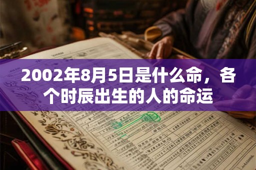 2002年8月5日是什么命,各个时辰出生的人的命运 2002年8月5日是什么命,各个时辰出生的人的命运