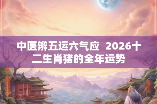 中医辨五运六气应  2026十二生肖猪的全年运势