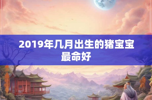2019年几月出生的猪宝宝最命好 2019年几月出生的猪宝宝最命好