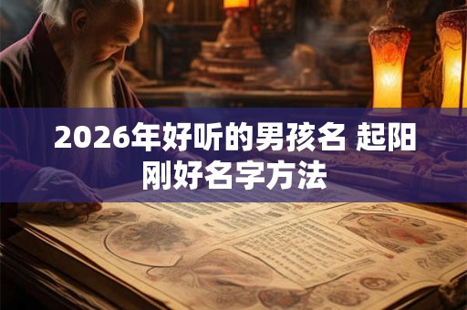 2026年好听的男孩名 起阳刚好名字方法