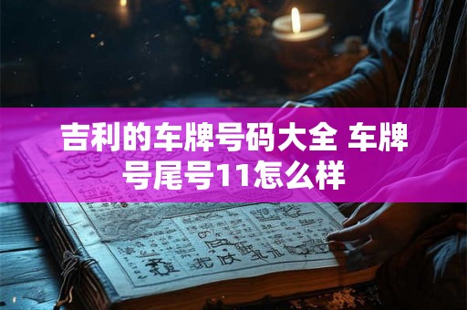 吉利的车牌号码大全 车牌号尾号11怎么样