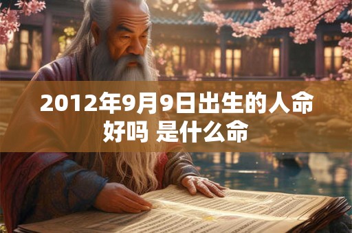 2012年9月9日出生的人命好吗 是什么命