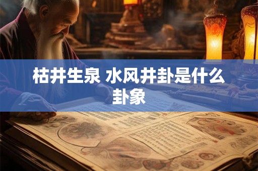 枯井生泉 水风井卦是什么卦象 枯井生泉 水风井卦是什么卦象