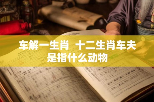 车解一生肖  十二生肖车夫是指什么动物