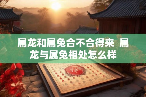 属龙和属兔合不合得来  属龙与属兔相处怎么样