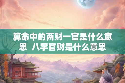 算命中的两财一官是什么意思  八字官财是什么意思