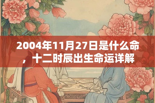 2004年11月27日是什么命，十二时辰出生命运详解