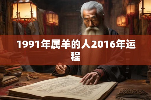 1991年属羊的人2016年运程