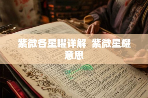 紫微各星曜详解  紫微星耀意思