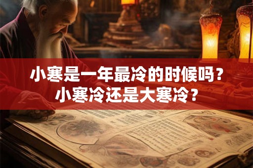 小寒是一年最冷的时候吗？小寒冷还是大寒冷？