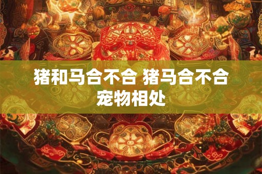 猪和马合不合 猪马合不合宠物相处