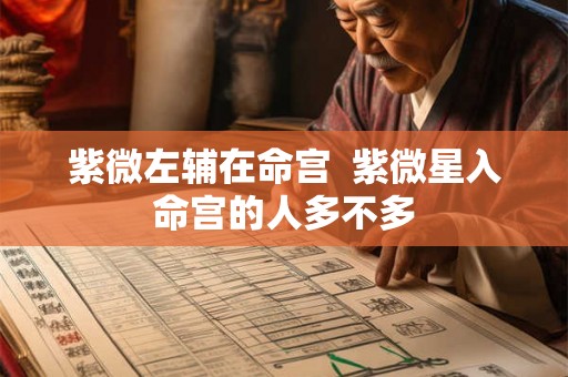 紫微左辅在命宫  紫微星入命宫的人多不多