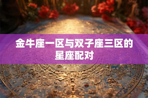 金牛座一区与双子座三区的星座配对
