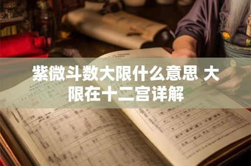 紫微斗数大限什么意思 大限在十二宫详解