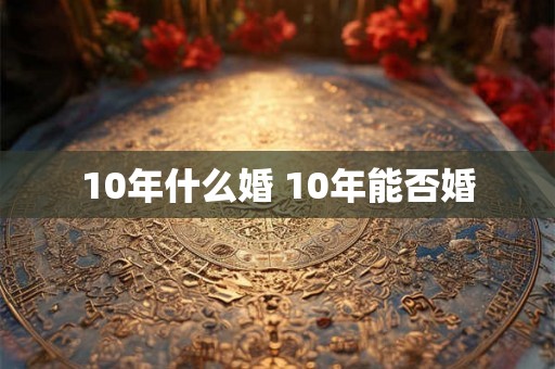 10年什么婚 10年能否婚
