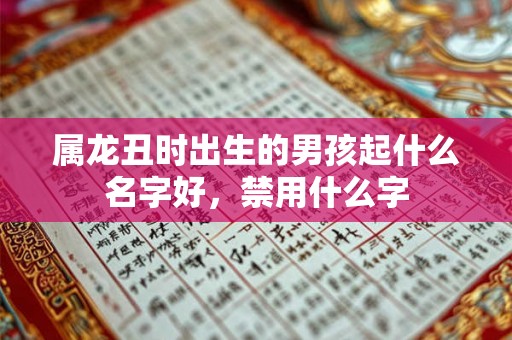 属龙丑时出生的男孩起什么名字好，禁用什么字