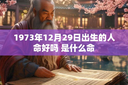 1973年12月29日出生的人命好吗 是什么命