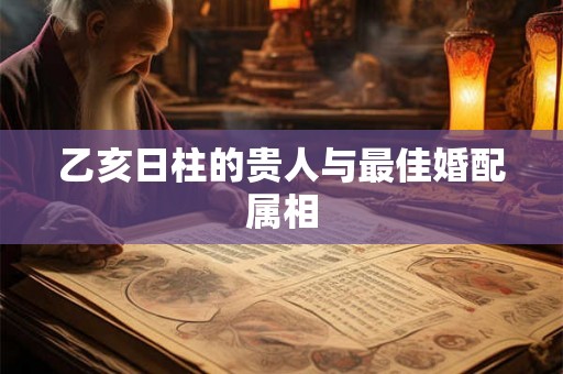 乙亥日柱的贵人与最佳婚配属相
