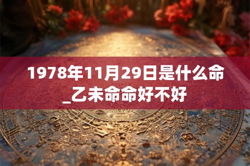 1978年11月29日是什么命_乙未命命好不好