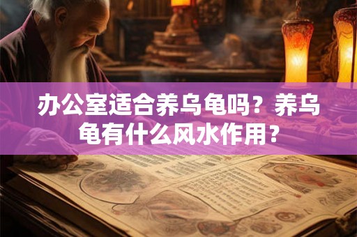 办公室适合养乌龟吗？养乌龟有什么风水作用？
