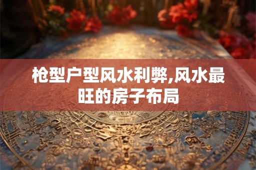 枪型户型风水利弊,风水最旺的房子布局