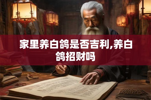 家里养白鸽是否吉利,养白鸽招财吗 家里养白鸽是否吉利,养白鸽招财吗